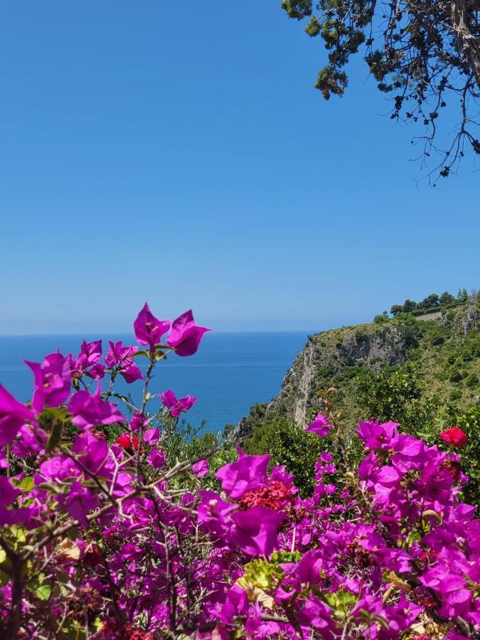 Sapore Di Mare Sperlonga